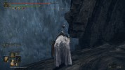 ELDEN RING™ 7_1_2024 11_17_41 PM.png