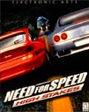 Need for Speed: Road Challenge