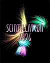 Scintillatron 4096