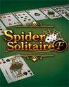 Spider Solitaire F
