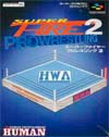 Super Fire ProWrestling 2