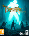 The Bard's Tale IV: Director's Cut