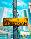 The Pedestrian