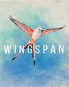 Wingspan