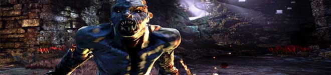 Hunted: The Demon's Forge