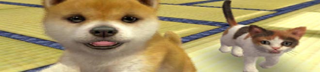 Nintendogs + Cats