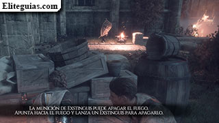 Capitulo X: La senda de las rosas