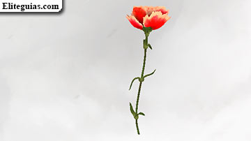 Clavel