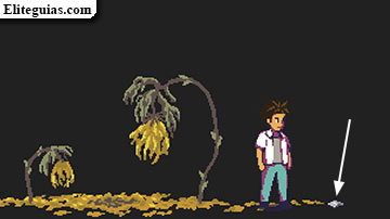 Cap&iacute;tulo 4