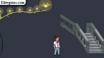 Cap&iacute;tulo 5