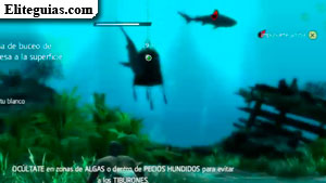 Buceo en busca de medicinas