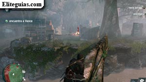 Reina de los piratas, rey de los necios
