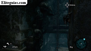 Assassin's Creed: Revolutions