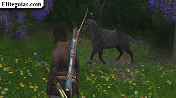 Caballo de batalla