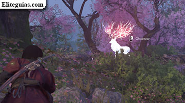 Ciervo sika legendario con sakura