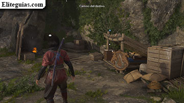 Puesto de Asesino de Kii