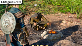 El jabalí de la nariz dorada