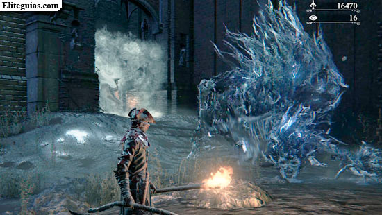 Bestia oscura Paarl