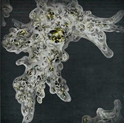 Fluido cerebral