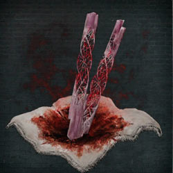 Fragmentos gemelos de piedra de sangre