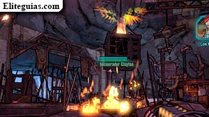 La Incineraci&oacute;n