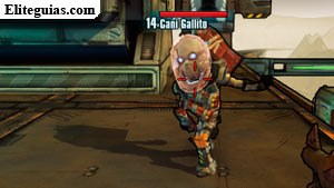 Cani Gallito
