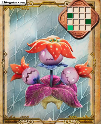 Raflesia