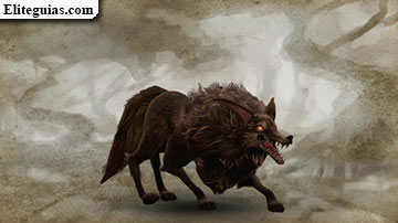 Lobo