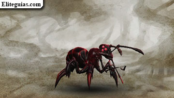 Paraponera tonel