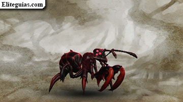 Paraponera