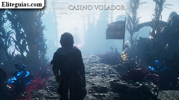 Casino volador