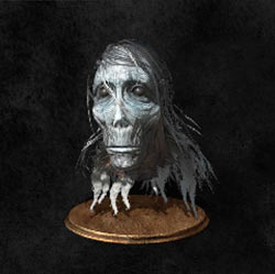 Cabeza de predicador blanco