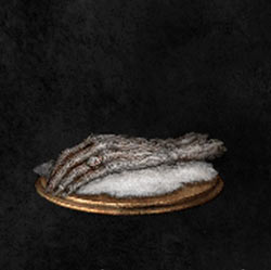Cenizas de anciana