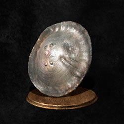 Escudo de cuero