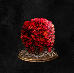 Mata de musgo rojo sangre
