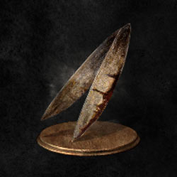 Planta espada de Hawkwood