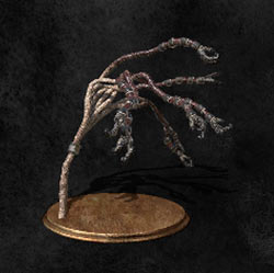 Rosa de Ariandel