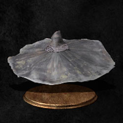 Sombrero grande de sabio
