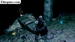 Sima del Abismo