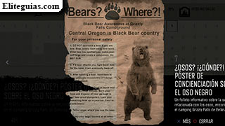 ¿Osos? ¡¿Dónde?! Póster de concienciación sobre el oso negro