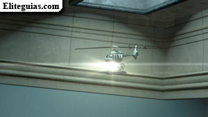 Minihelic&oacute;ptero de Terry