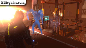 Cap&iacute;tulo 6