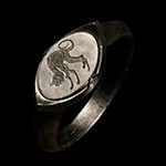 Anillo del gato