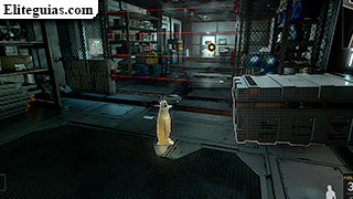 La colonia dorada