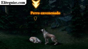 Perro envenenado