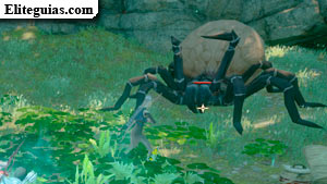 Ara&ntilde;a gigantesca