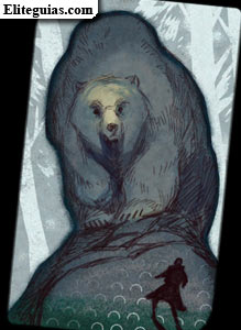 Gran oso