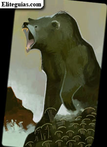 Oso