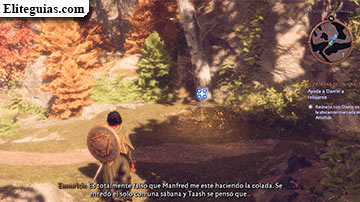 El paladar de un grifo