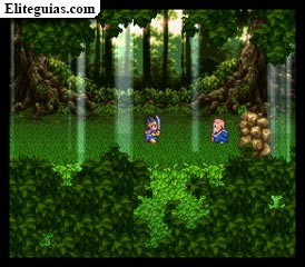 Bosque